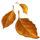 🍂